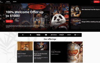 Royal Panda Live Casino