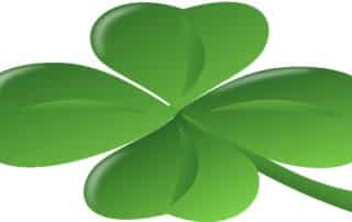 Irish Gambling Operators Changing Business Model