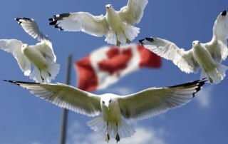 Ontario iGaming Boom